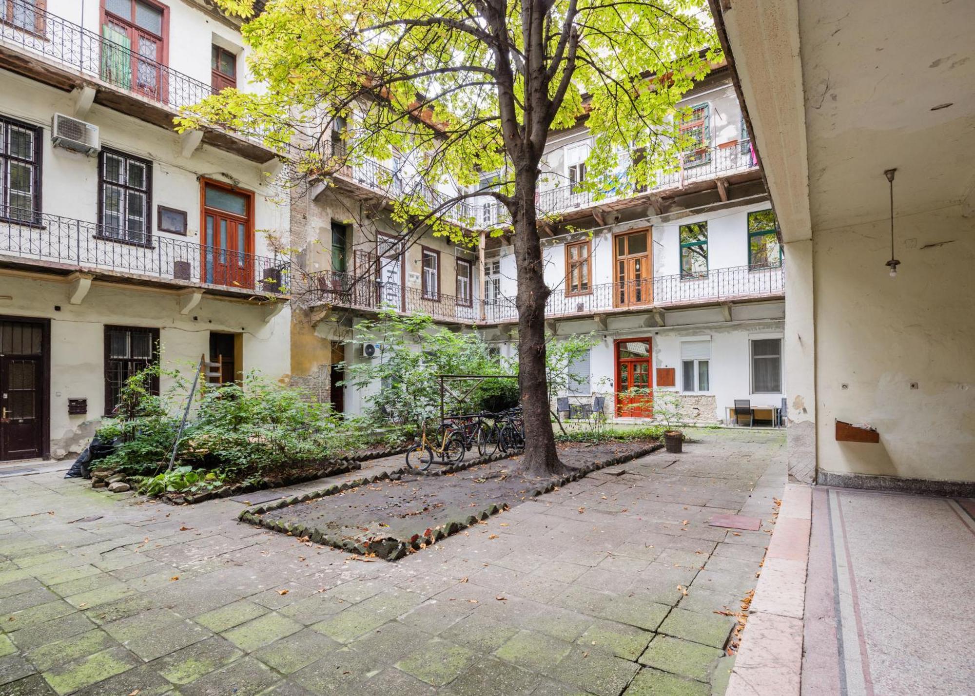 Walk To Opera & Basilica - Live Like A Local Budapest